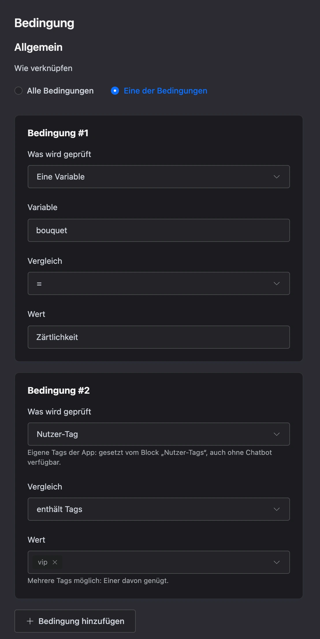 Einstellungen des Blocks „Bedingung“: Variable und Benutzer-Tag