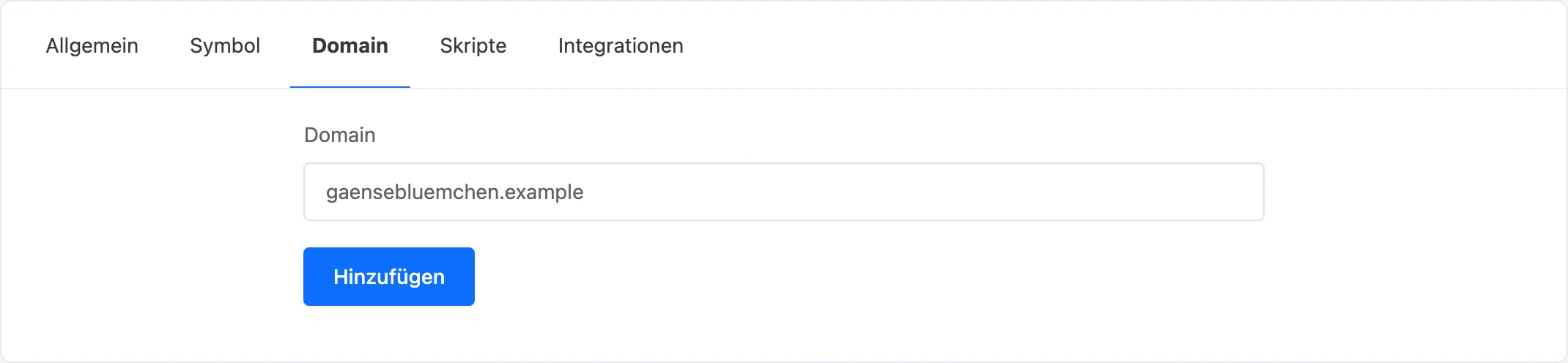 Reiter „Domain“ mit eingegebener Domain