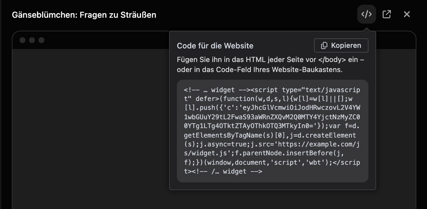 Das Fenster „Code für die Website“ im Panel des Widgets