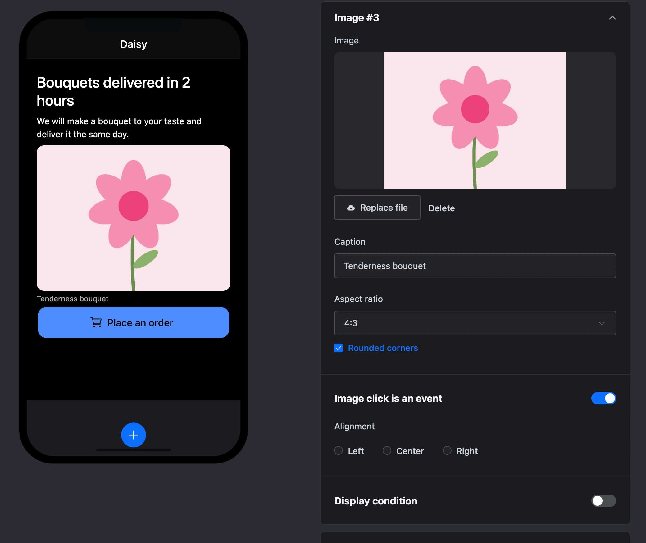 The "Image" element: a picture with a caption on the screen and its settings