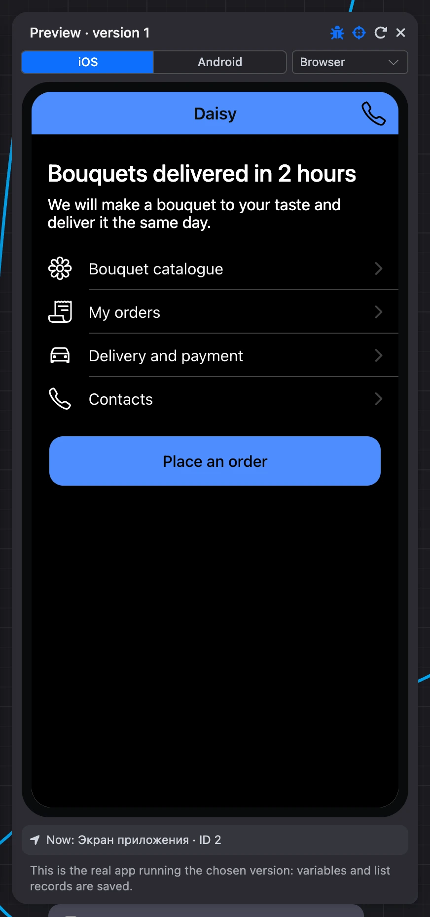 The Preview panel with the app