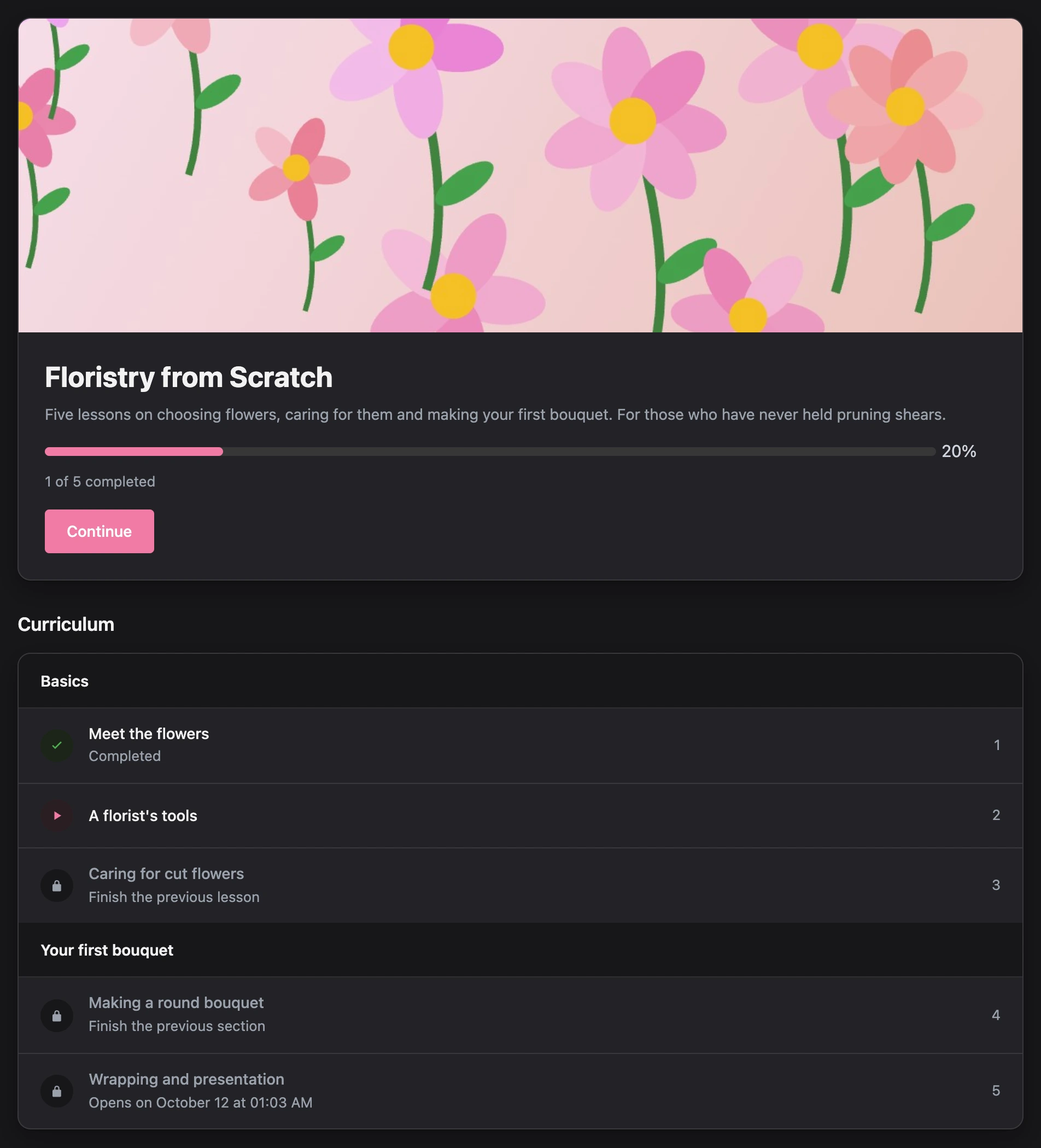 Course page: progress and the programme with completed and locked lessons