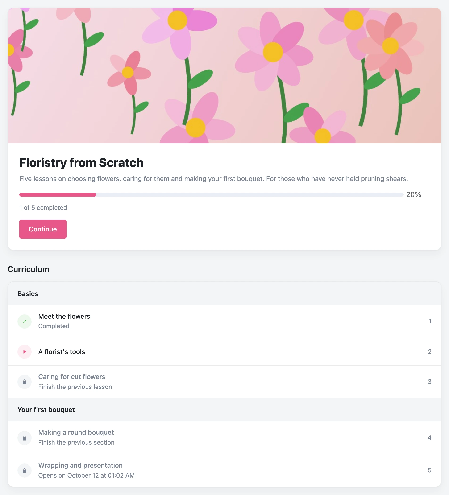 Course page: progress and the programme with completed and locked lessons