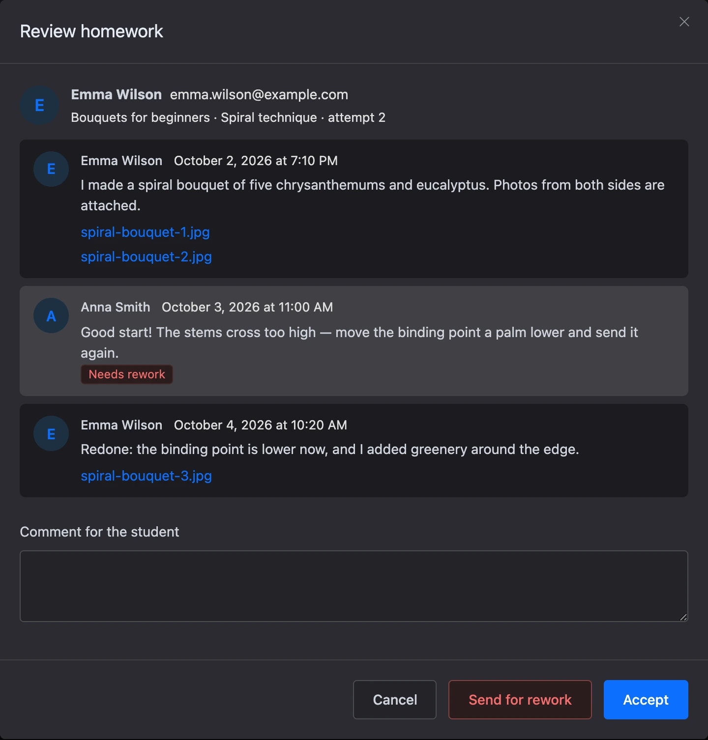 The assignment review window with the student–curator thread