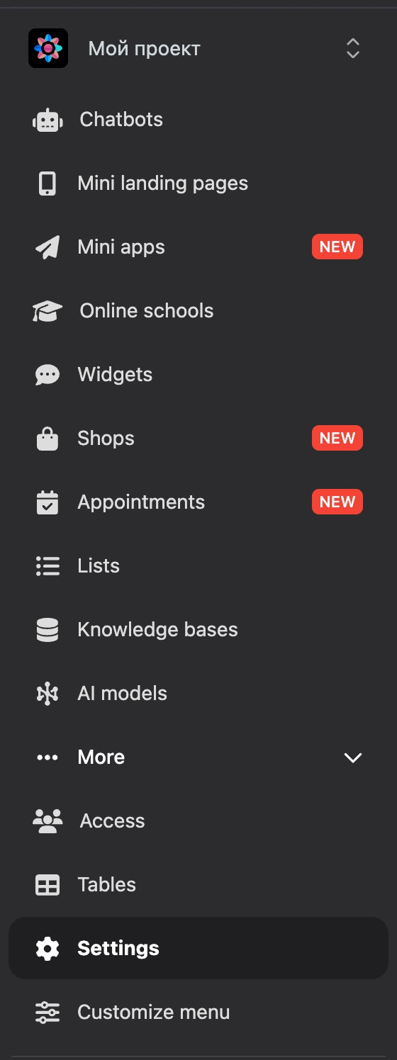 The project menu with the More group expanded