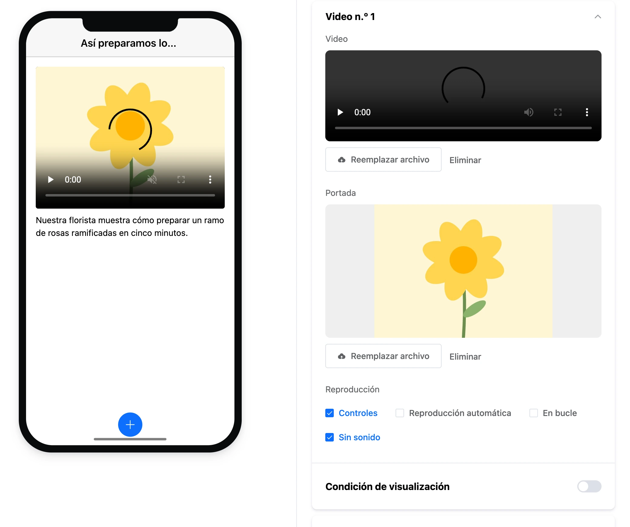El elemento «Video»: un reproductor con portada en la pantalla y la configuración del elemento