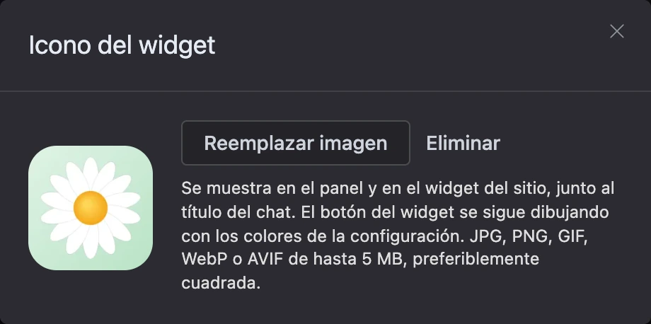 La ventana «Icono del widget»: el icono subido y una indicación de dónde se muestra