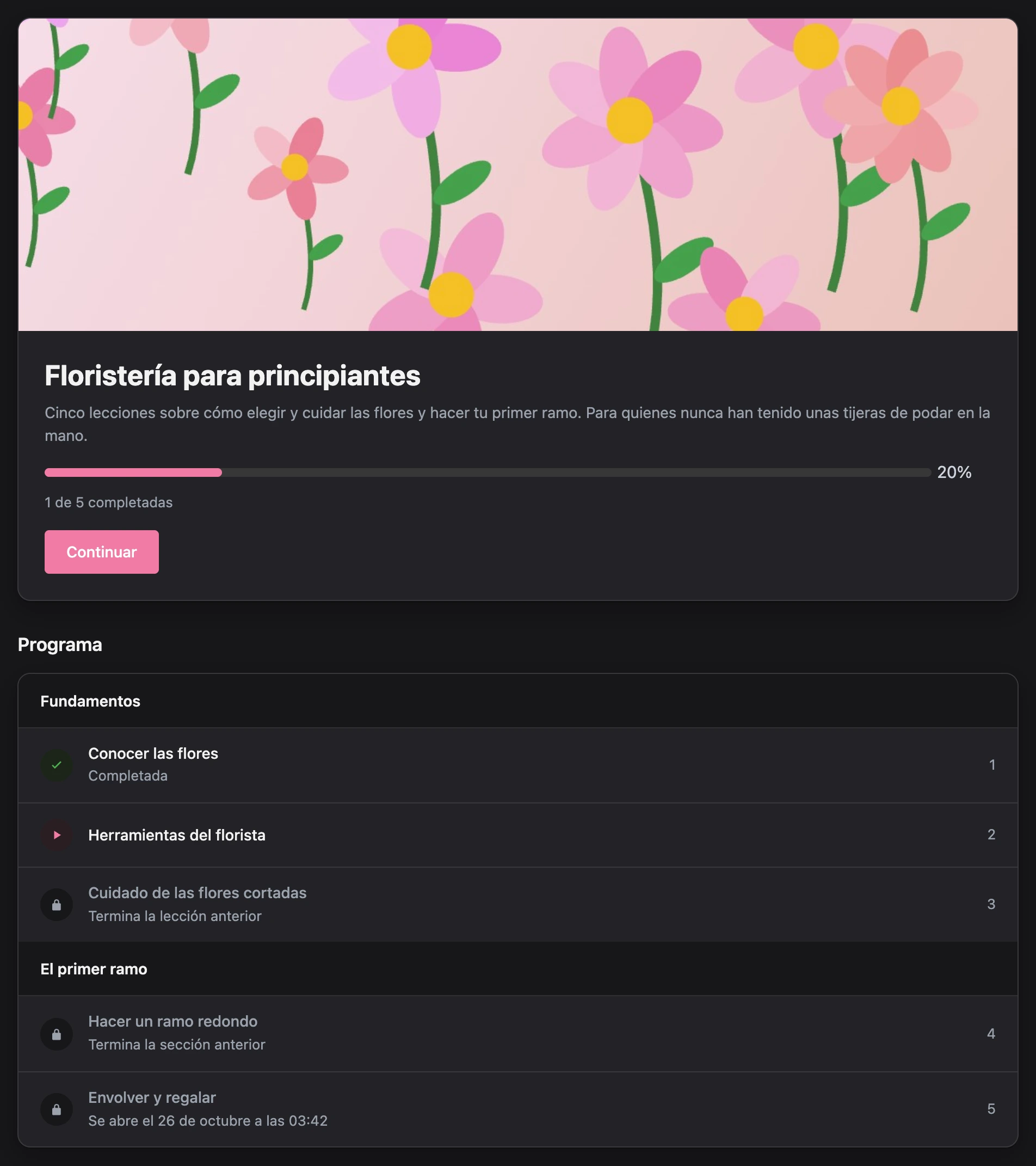Página del curso: progreso y programa con lecciones completadas y bloqueadas